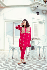 Ready to wear: Embroided karandi kamiz and trouser with golden net patch work